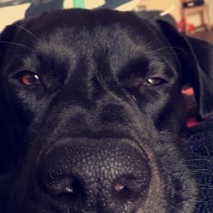 Meet your Posher, Ariel